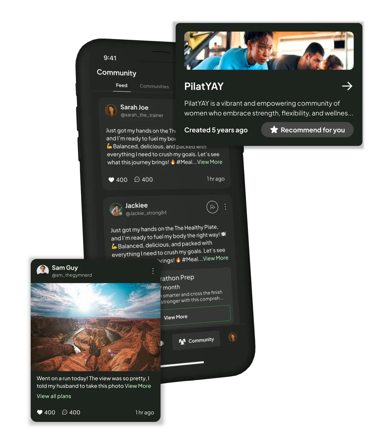Thriving Communities interface